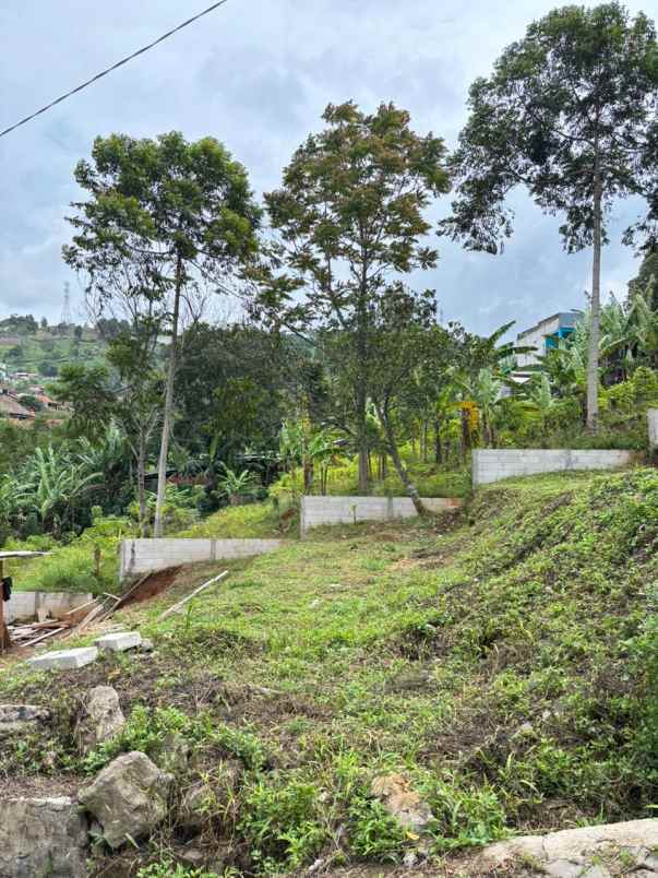 dijual tanah jatihandap cicaheum