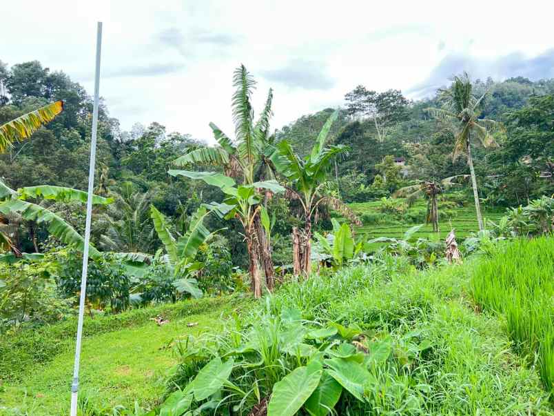 dijual tanah jenawi karanganyar