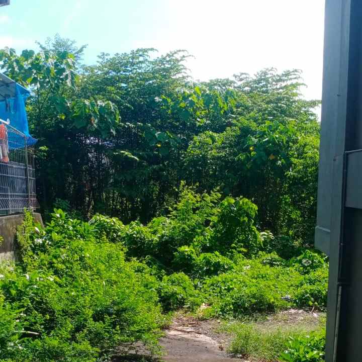 dijual tanah jl diponegoro