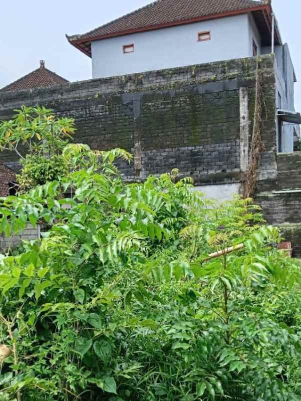 dijual tanah jl majapahit