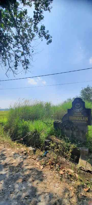dijual tanah jl mojokerto sumobito