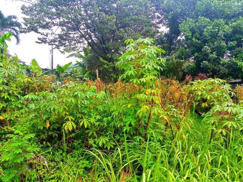 dijual tanah jl palem puri bintaro