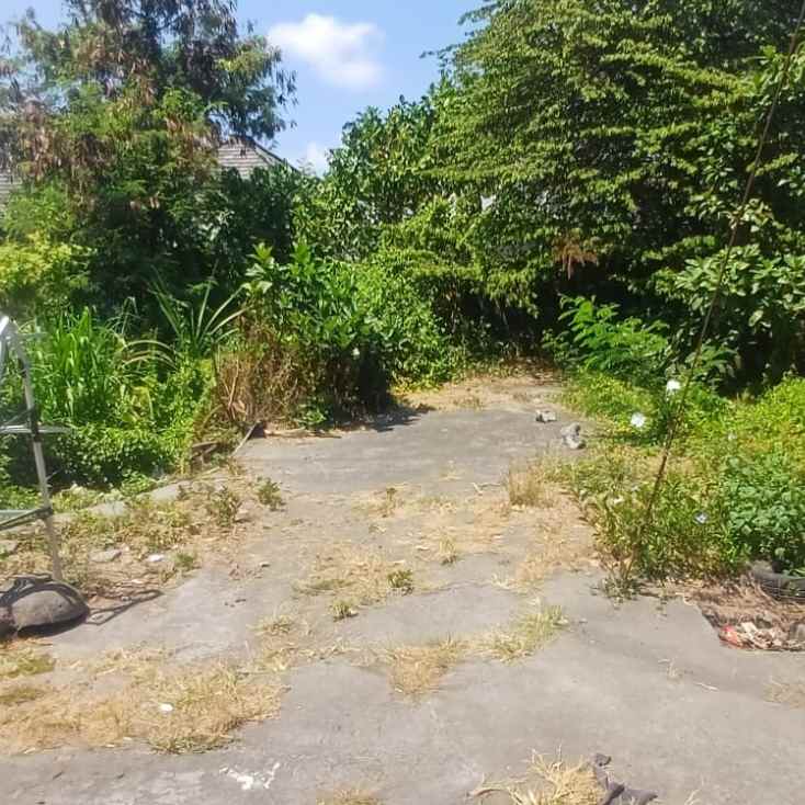 dijual tanah jl raya dalung