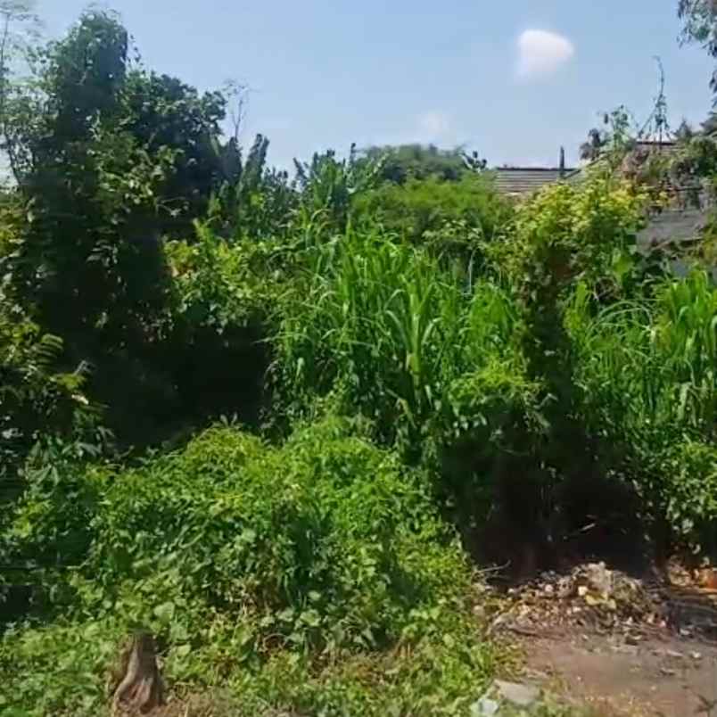dijual tanah jl raya dalung