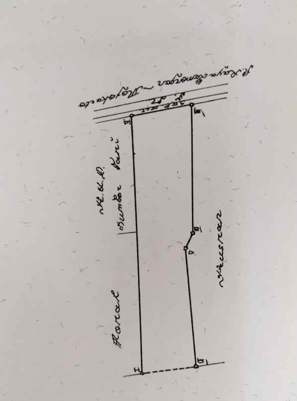 dijual tanah jl raya mantup lamongan