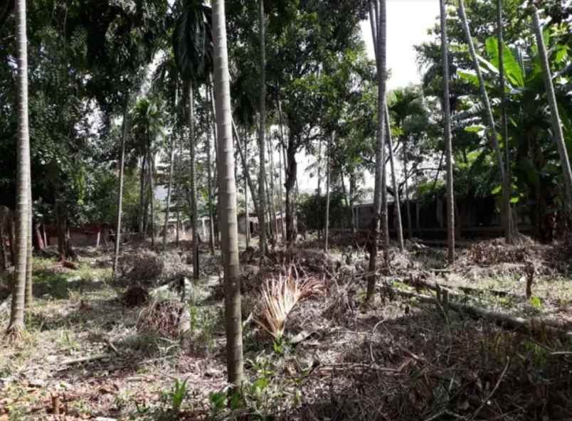 dijual tanah kavling dki pondok kelapa