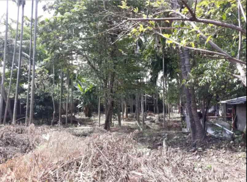 dijual tanah kavling dki pondok kelapa