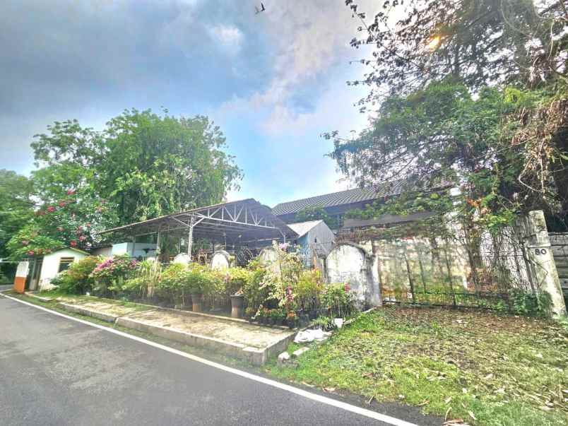 dijual tanah kayu putih