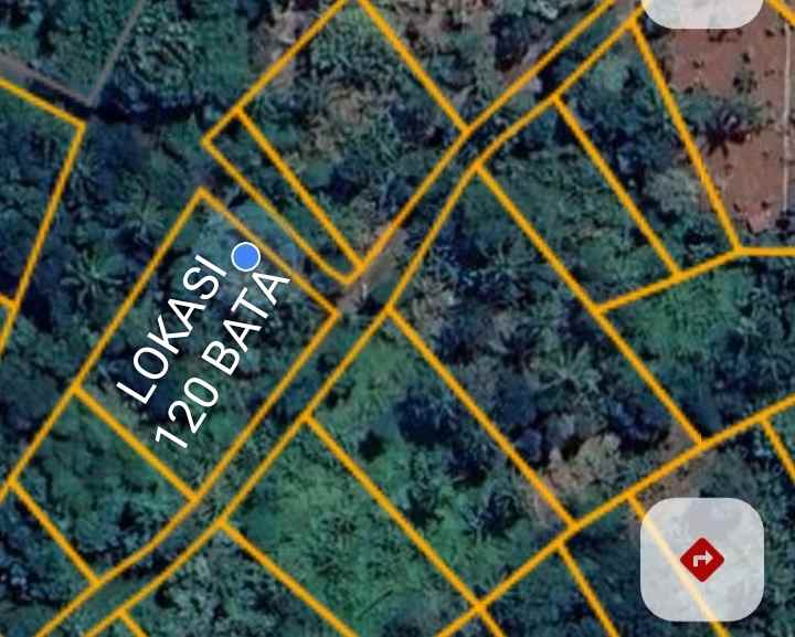 dijual tanah kebun akses jalan mobil