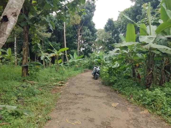 dijual tanah kebun akses jalan mobil