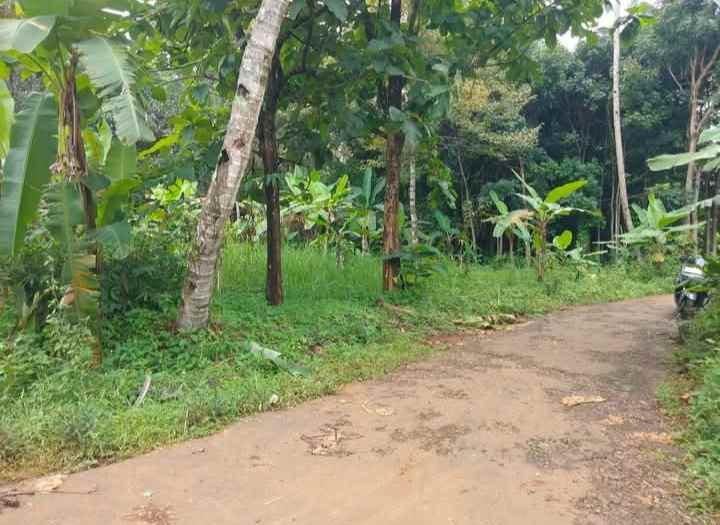 dijual tanah kebun akses jalan mobil