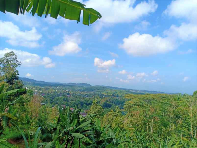 dijual tanah kemuning ngargoyoso