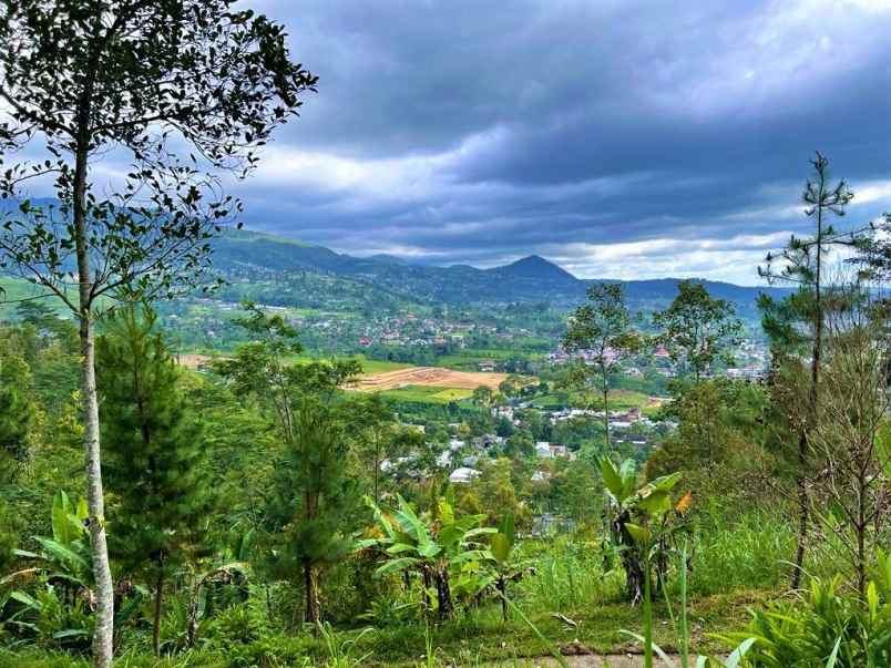 dijual tanah kemuning ngargoyoso