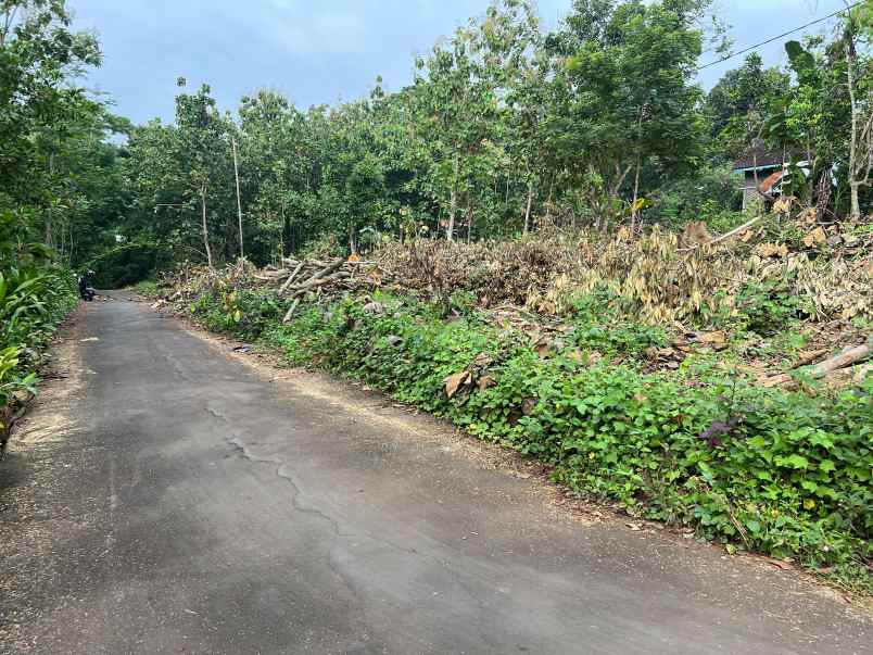 dijual tanah kerjo karanganyar solo