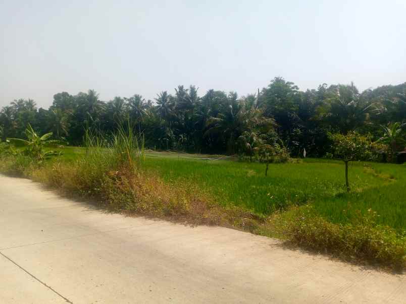 dijual tanah komersial cocok untuk pabrik