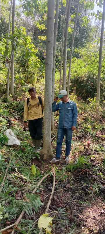 dijual tanah kp nagrak derwati