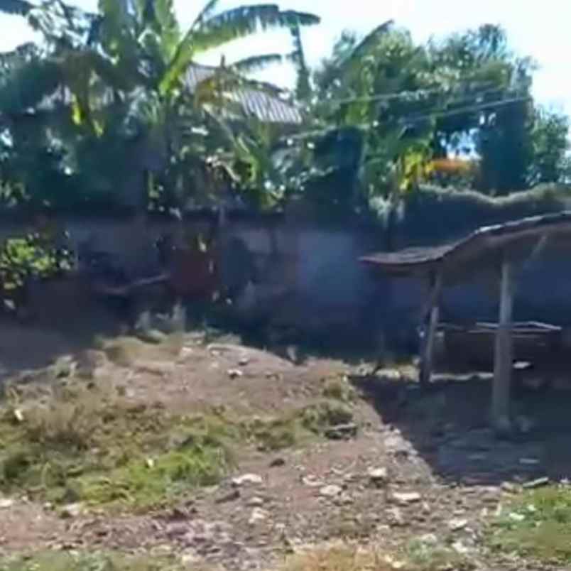 dijual tanah muding mekar