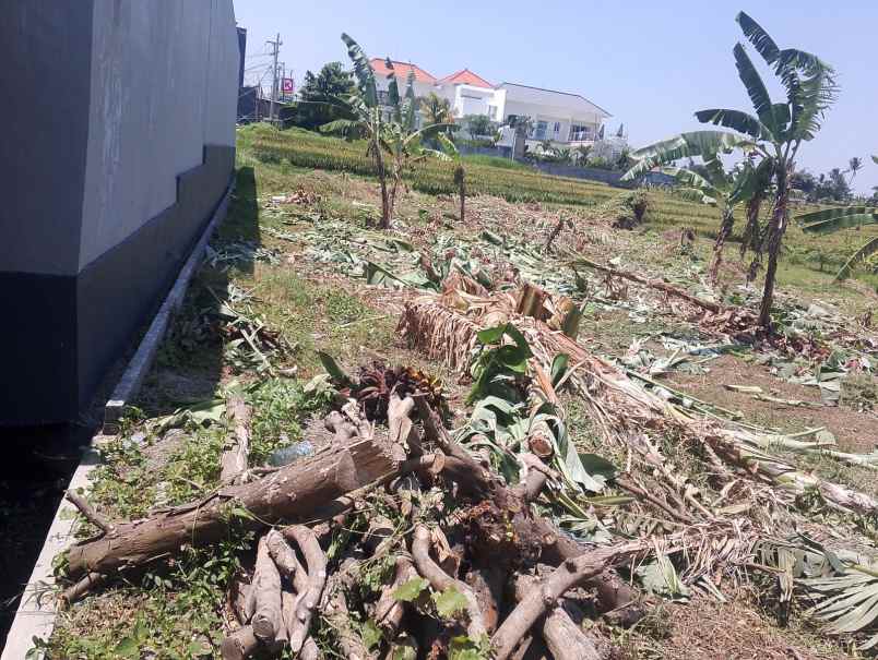 dijual tanah pantai nyanyi beraban