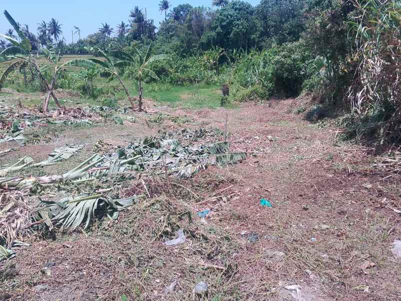 dijual tanah pantai nyanyi beraban