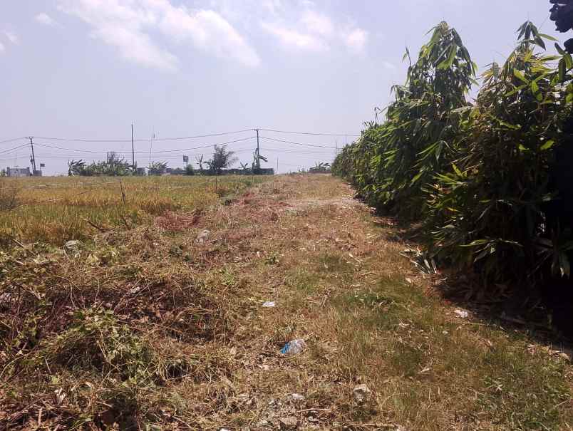 dijual tanah pantai nyanyi beraban