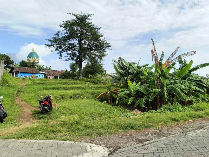dijual tanah patuk candi wates kec