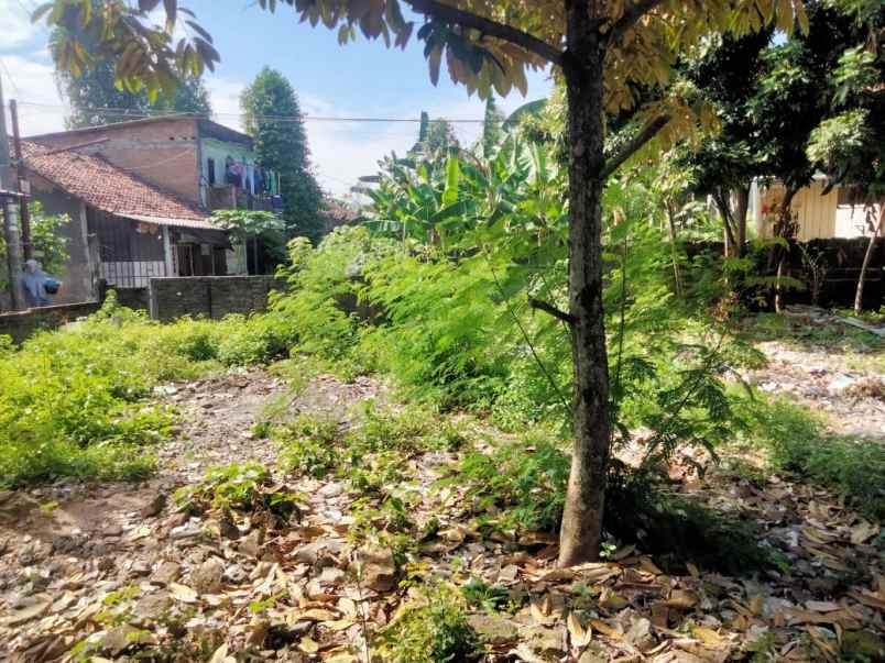 dijual tanah pelem mulong