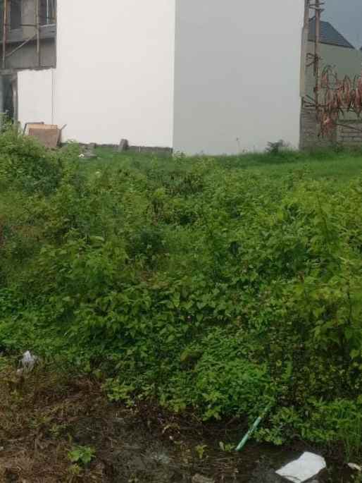 dijual tanah pemaron