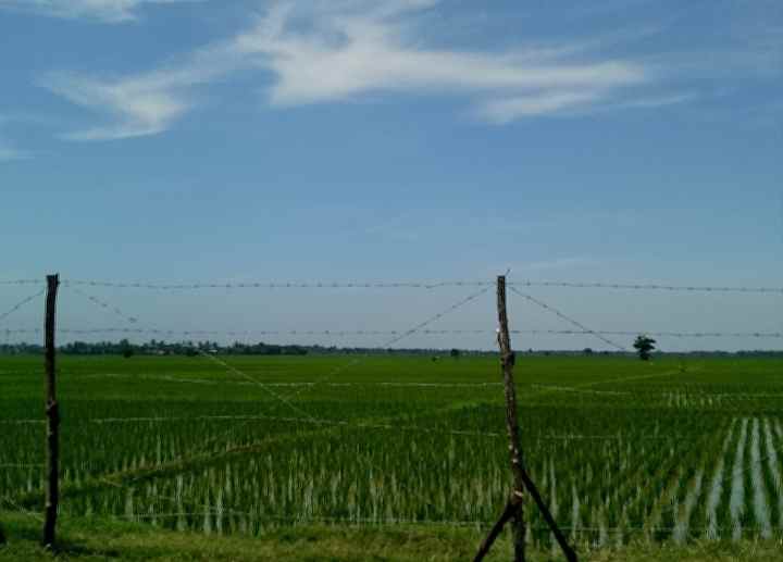 dijual tanah perum 150 hektar bekasi