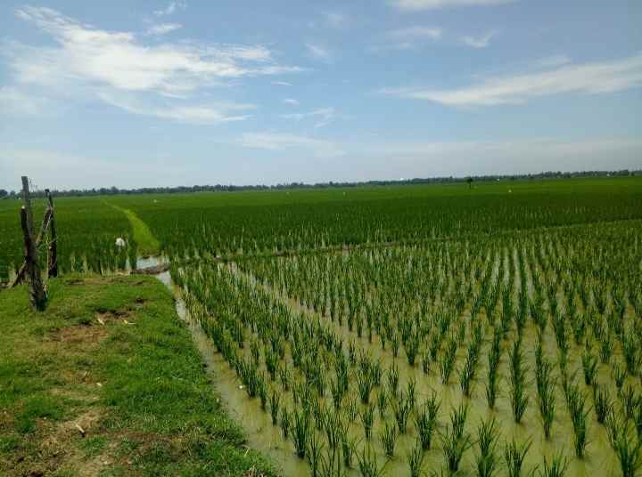 dijual tanah perum 150 hektar bekasi