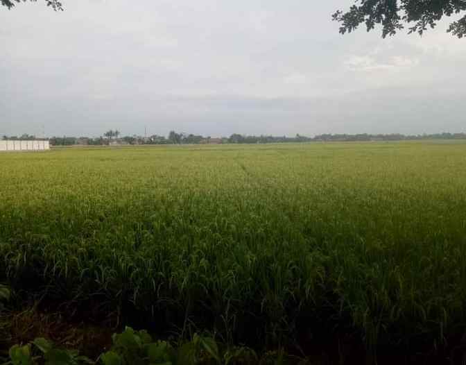 dijual tanah perum 60 hektar bekasi