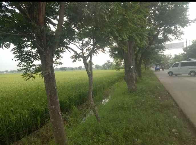 dijual tanah perum 60 hektar bekasi