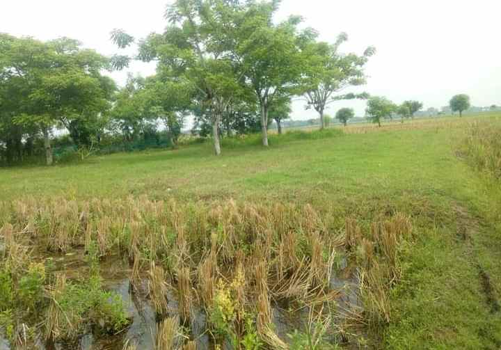 dijual tanah perum 60 hektar bekasi