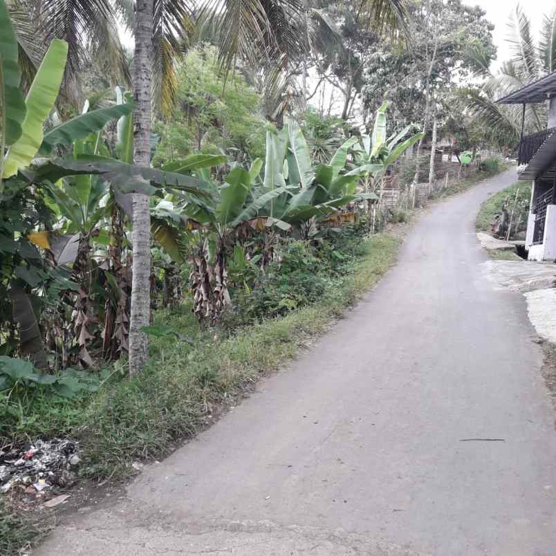 6000 M2 Tanah Kebun Pinggir Jalan Desa Citatah Cipatatbandung Barat