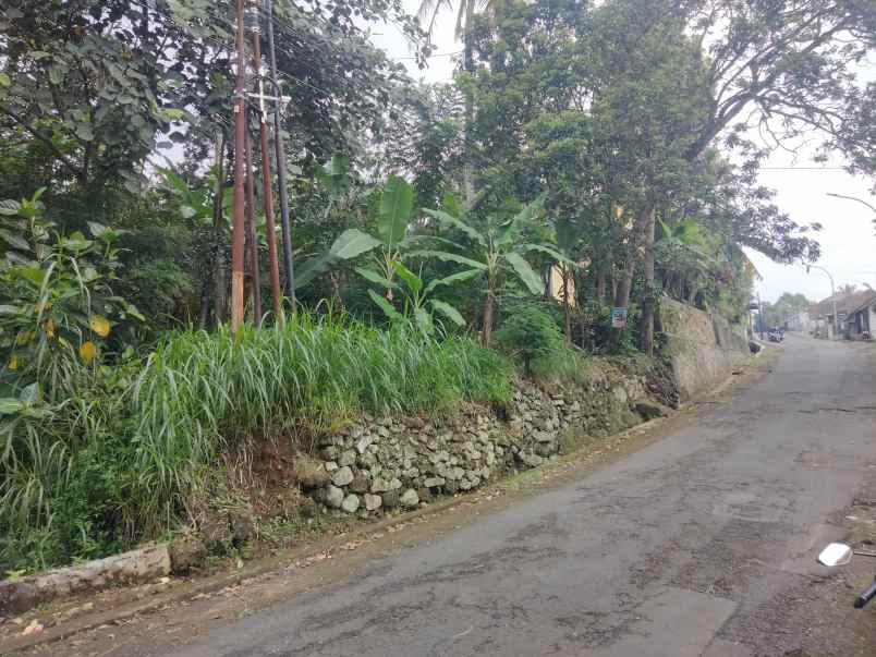 dijual tanah pinggir jalan desa lokasi strtegis