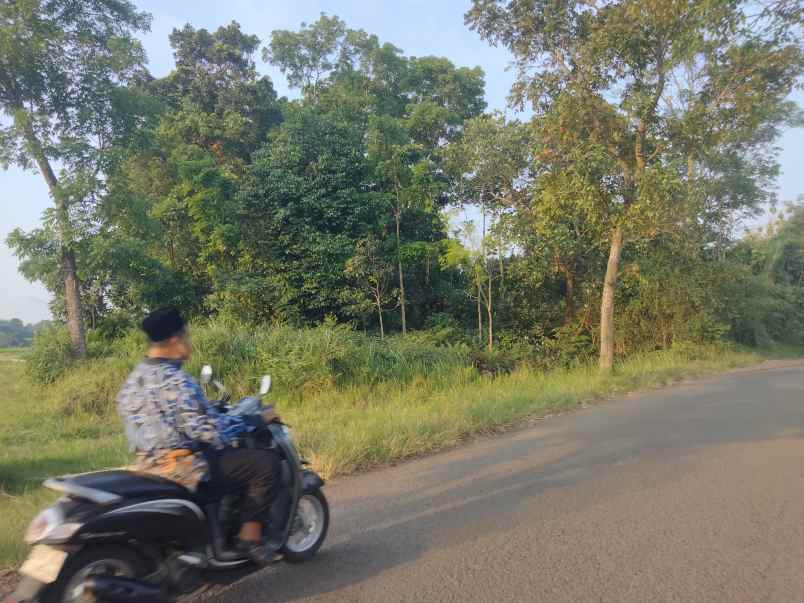 dijual tanah pinggir jalan kabupaten