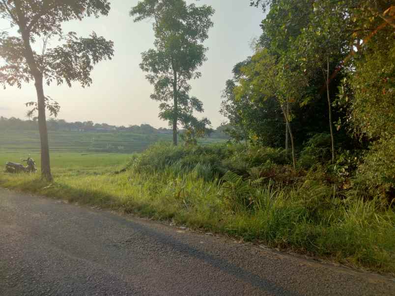 dijual tanah pinggir jalan kabupaten