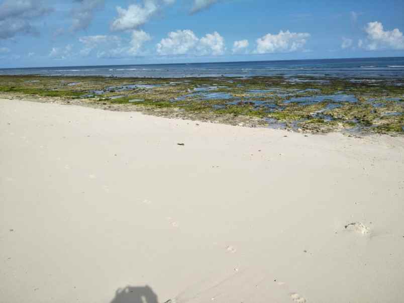 dijual tanah pinggir pantai kawona desa