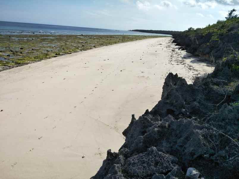 dijual tanah pinggir pantai kawona desa