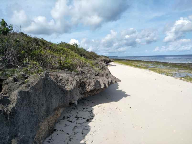 dijual tanah pinggir pantai kawona desa