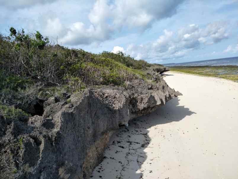dijual tanah pinggir pantai kawona desa