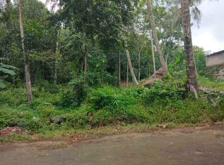dijual tanah rando bawa kec mandirancan