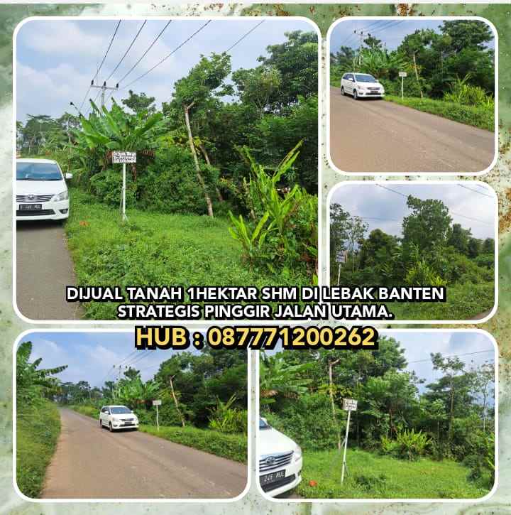 dijual tanah sajira kab lebak banten
