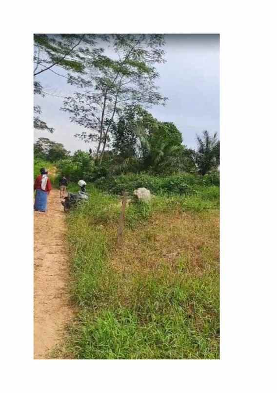 dijual tanah strategies untuk hunian dan bisnis