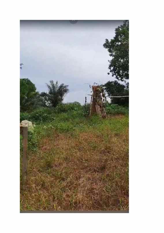 dijual tanah strategies untuk hunian dan bisnis