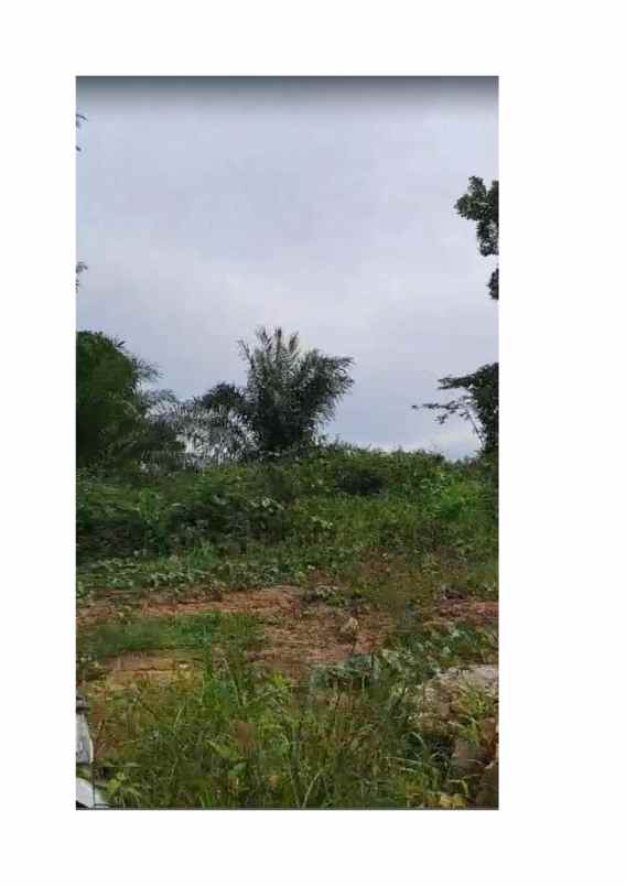 dijual tanah strategies untuk hunian dan bisnis