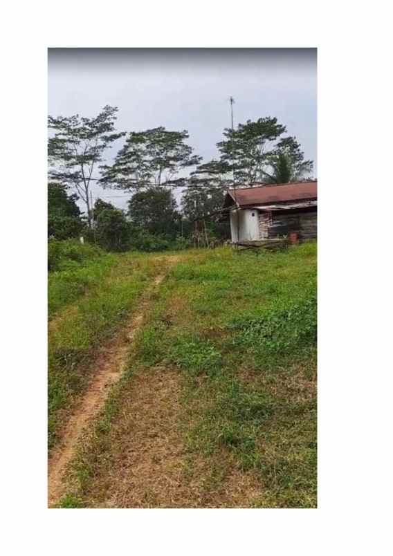 dijual tanah strategies untuk hunian dan bisnis