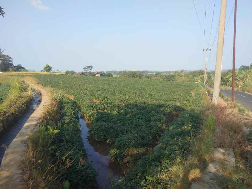 dijual tanah strategis pinggir jalan view gunung