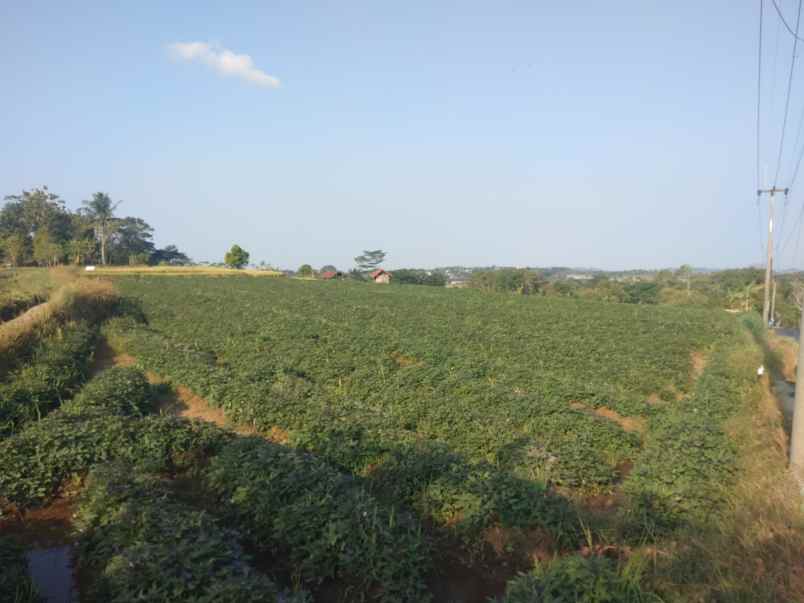 dijual tanah strategis pinggir jalan view gunung