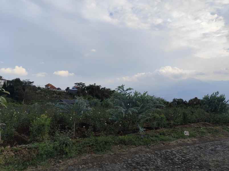 dijual tanah sumbergondo