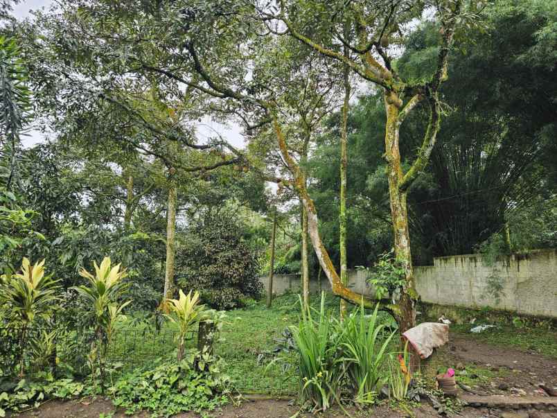 dijual tanah tamansari